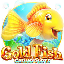 Mostbet Image